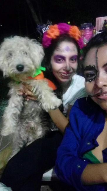 Despedida de dia de muertos!!! - 23
