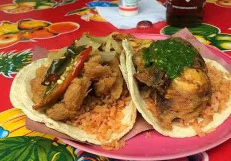 Mi platillo Master Chef - tacos acorazados típicos de Morelos - 2