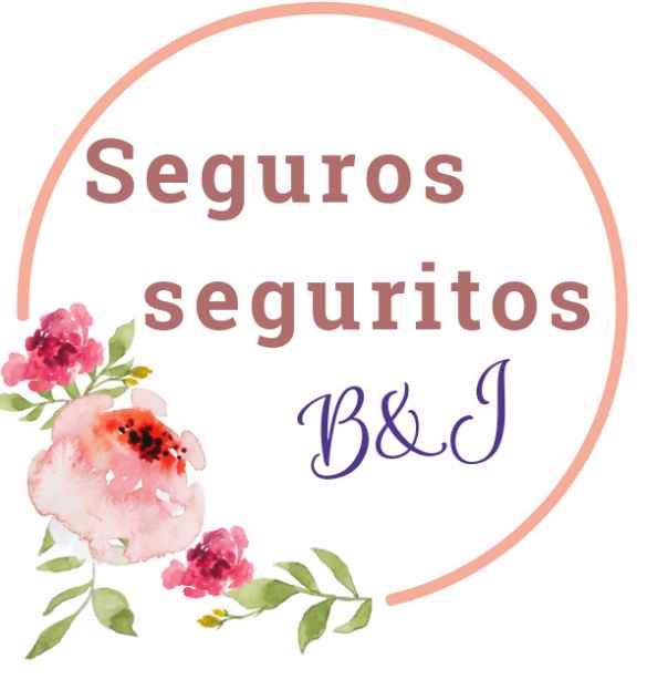 seguros