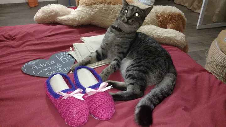 Pantuflas y más pantuflas - 8