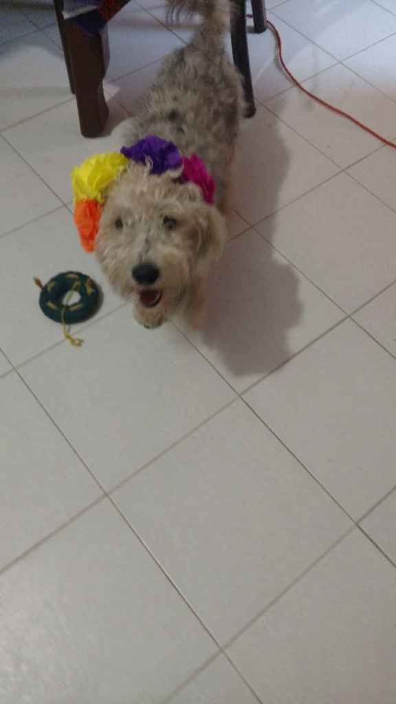 Diademas de catrina diy - 10