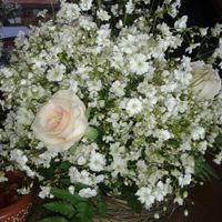 Decoracion en jardin - 1