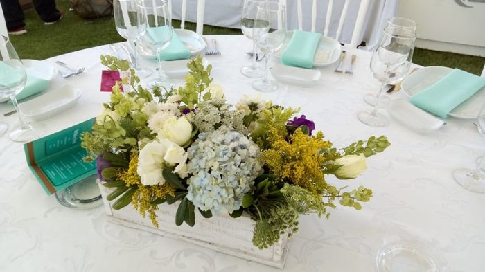 Emergencia Floral - Puebla - 6