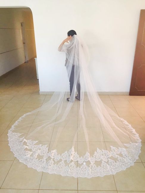 El día que llegó mi Velo