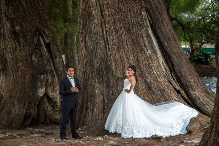 Auxilio fotógrafo con las 3 Bs - Puebla - 10