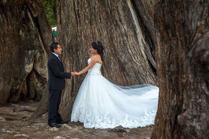 Auxilio fotógrafo con las 3 Bs - Puebla - 11