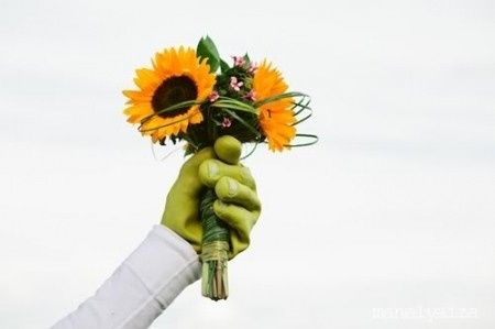Boda Shrek y Fiona