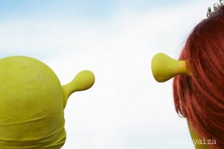 Boda Shrek y Fiona