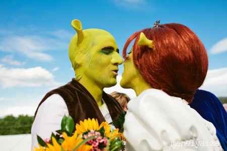 Boda Shrek y Fiona