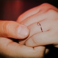 Muestra el anillo - 1