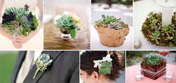  Sembrando amor!! - 2