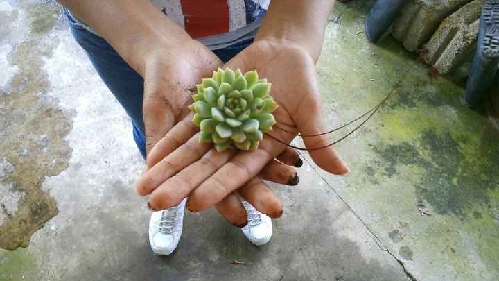  Sembrando amor!! - 5