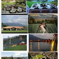 Novi@s de jalisco: hora de presumir templos y salones/jardines - 3