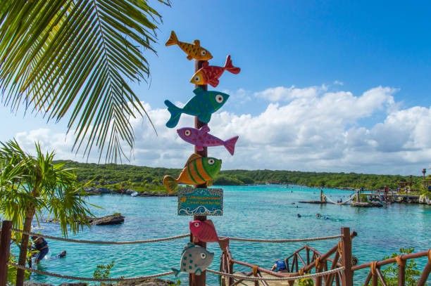 ¿Cuáles de los siguientes planes te atrae más en un viaje? 3