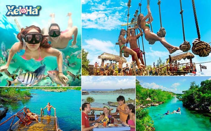 ¿Cuáles de los siguientes planes te atrae más en un viaje? 6