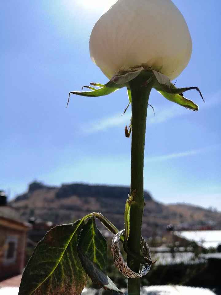 Con mucho tiempo de anticipación! - 1