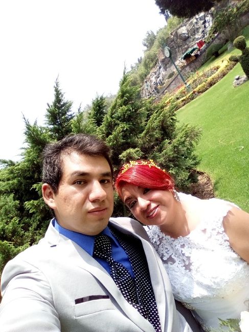 Señores Palomino!!! - 5