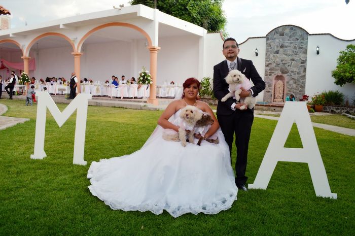 Sesión de fotos con mascotas - 1