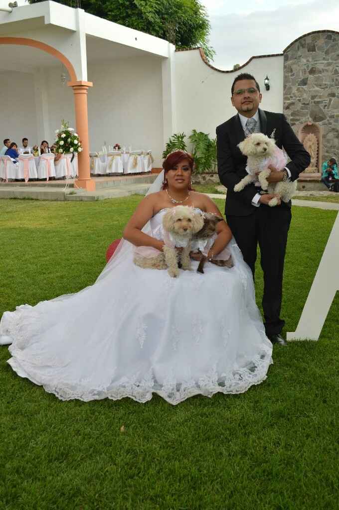 Mascotas en la boda ? si! - 1