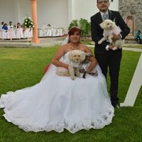 Mascotas en la boda ? si! - 1