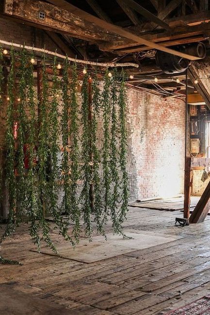 Idea 9 mi opción alternativa con más follaje que flor