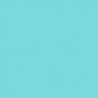 Turquesa Limpet Shell