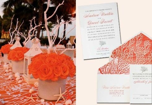 Coral, ivory, dorado