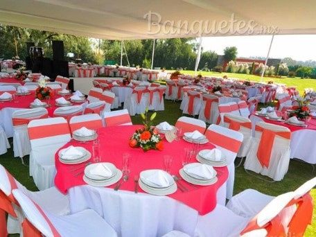 Coral, ivory, dorado