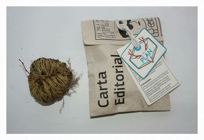 ¿Qué recuerditos vas a dar en tu boda? - 1