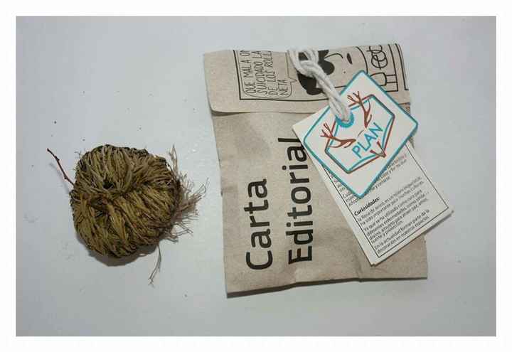 ¿Qué recuerditos vas a dar en tu boda? - 1