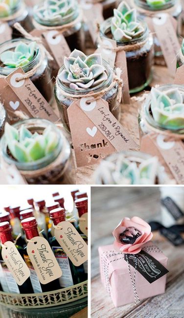Suculentas, minibotellas