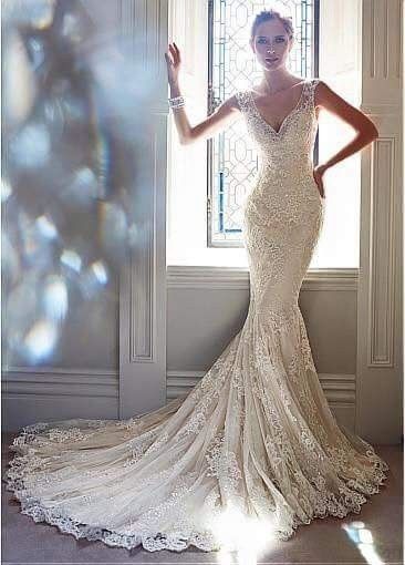 La cauda del vestido de novia 42