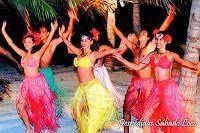 DESPEDIDA HAWAIANA