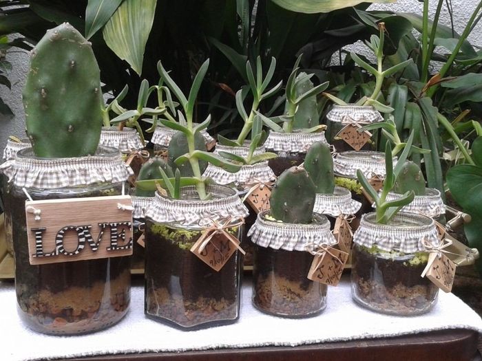 Plantitas