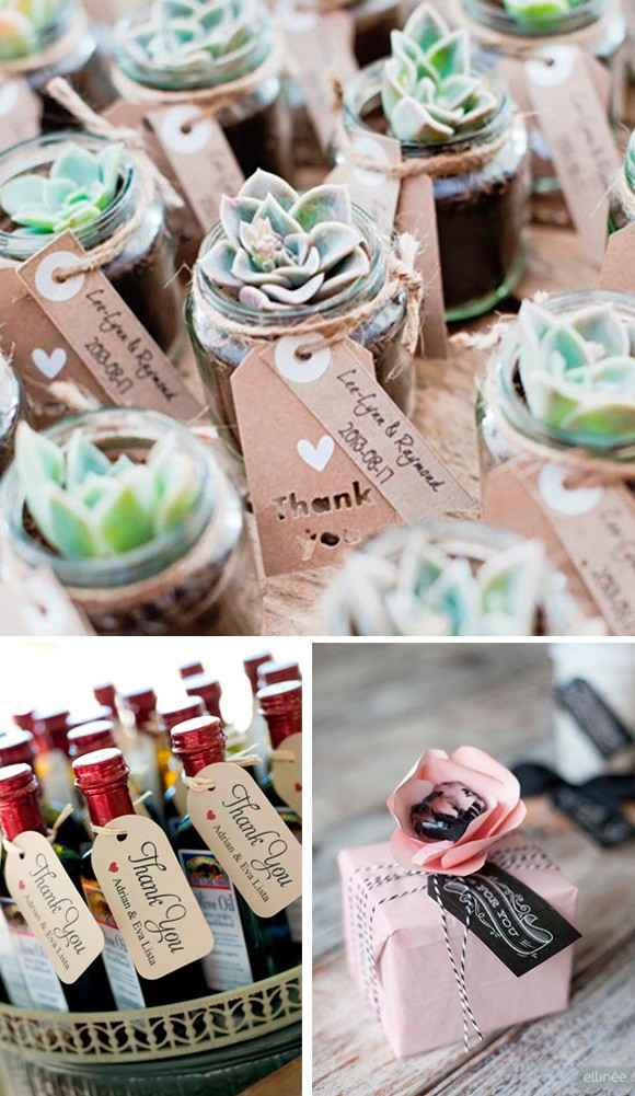 Suculentas, minibotellas