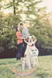 ¿Ideas para el save the date? - 7