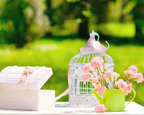 Decoracion - 4