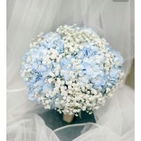 Combinaciones de color serenity blue y rosa - 1