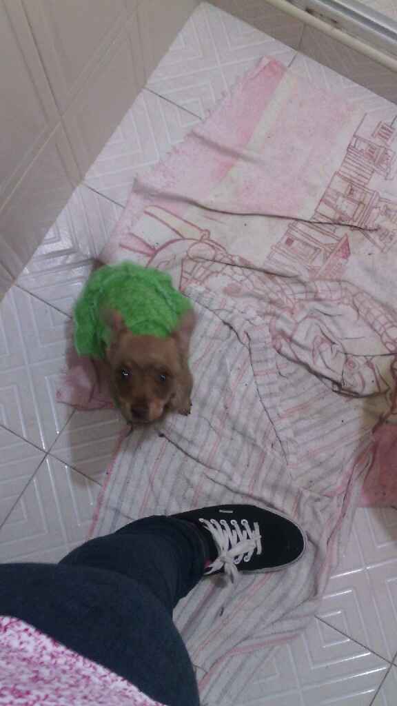 Les presento a.... - 3