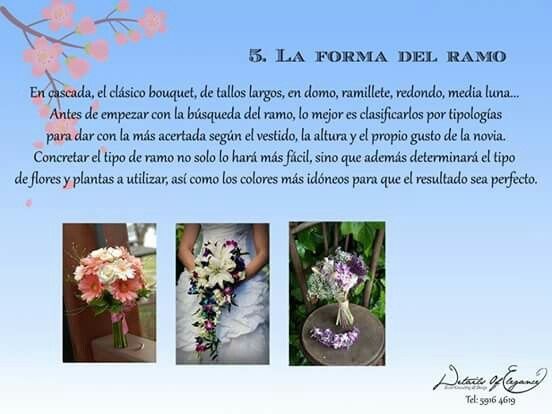 Consejos para elegir el ramo - 6