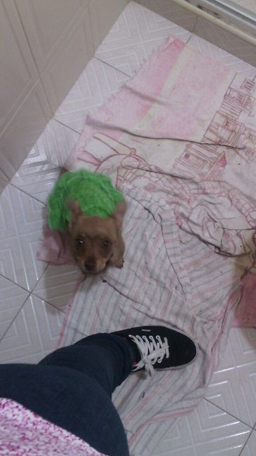 Les presento a.... - 3