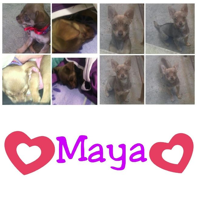 Les presento a.... - 7