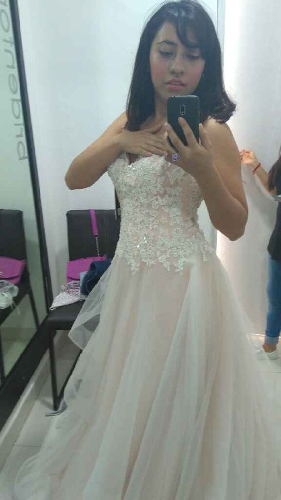  Cuando elegí que fuera rosa - 1