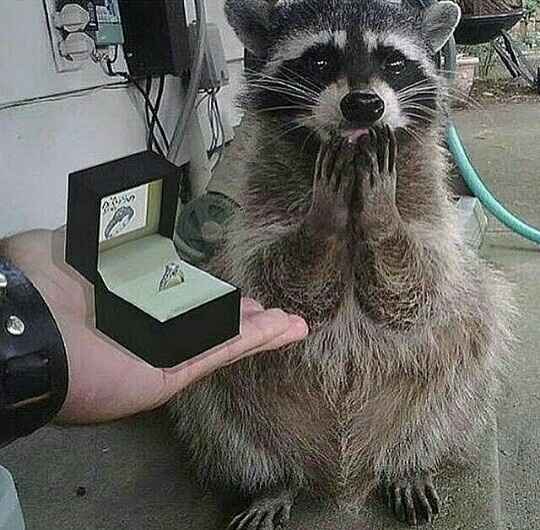 Recuerdan ese día?? - 1