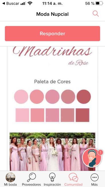 ¿Qué tonos elijo? - 1