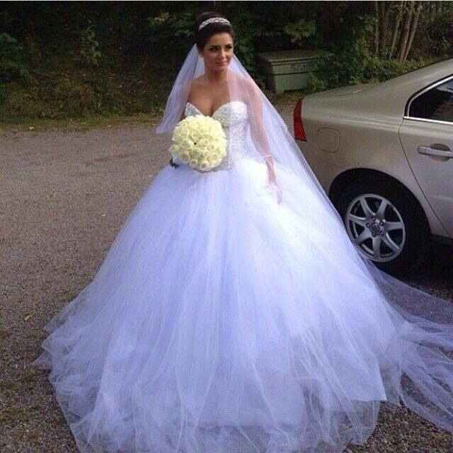 No me decido aún por cual :(