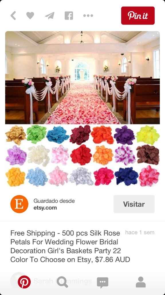 Pétalos de colores - 1