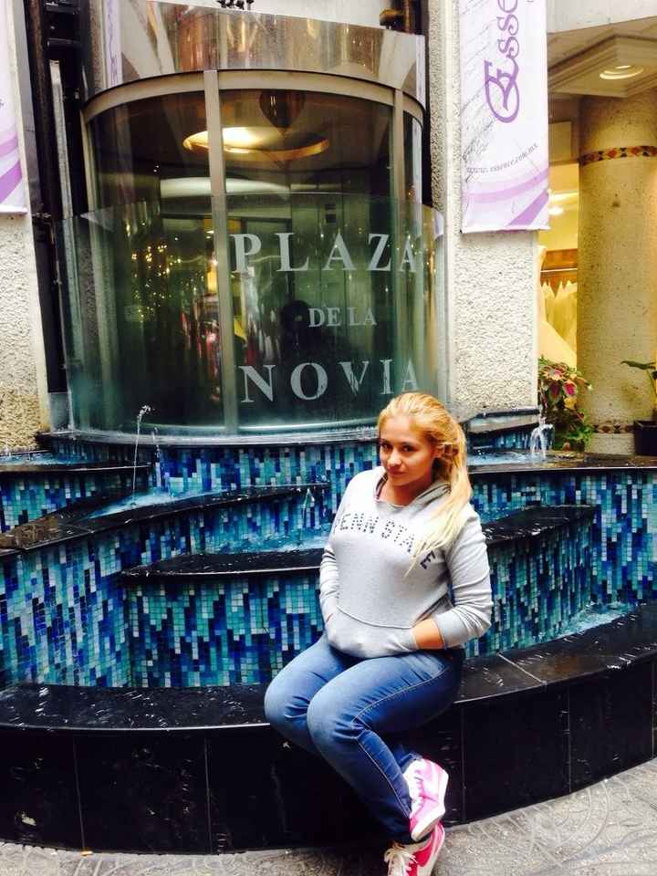 Ya en el df por mi vestido - 3