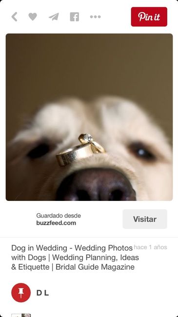 Ideas para tomarle fotos a sus anillos - 2