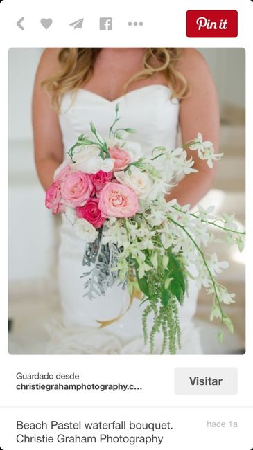 Como será tu ramo ?? - 6